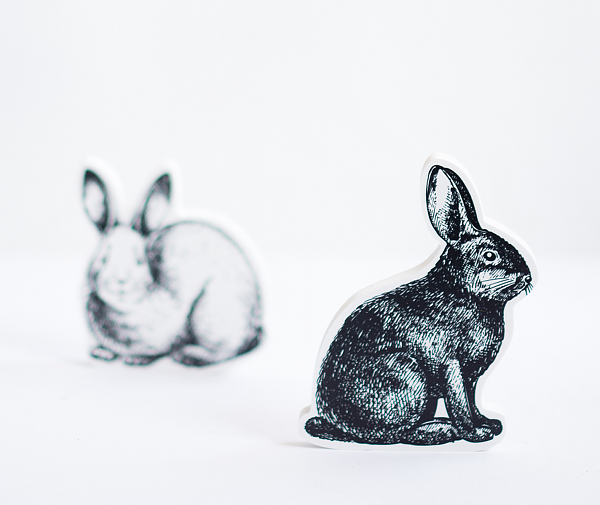 3D Hase mini