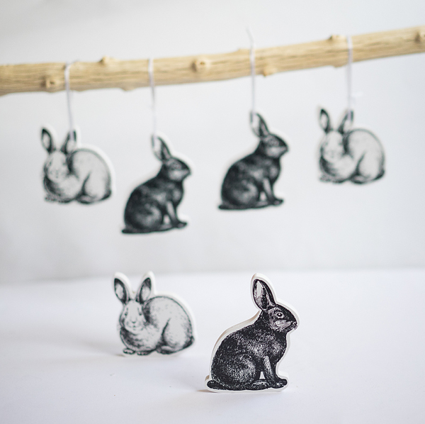 3D Hase mini